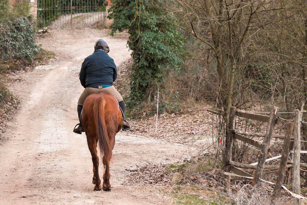 Trekking a cavallo via Francigena